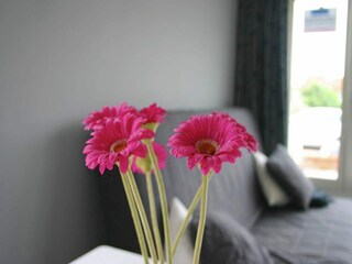 Vakantiehuis Egmond aan Zee  38