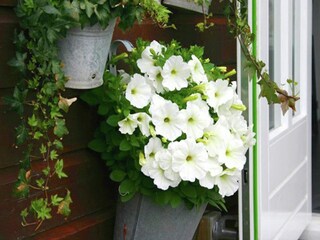 Maison de vacances Egmond aan Zee  40