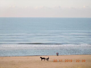 Casa per le vacanze Egmond aan Zee Ambiente 24