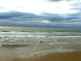 Vakantiehuis Egmond aan Zee Omgeving 37