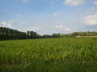 Ferienhaus Meerlo Umgebung 33