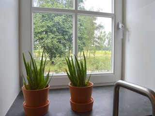 Ferienhaus Meerlo  38