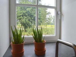 Maison de vacances Meerlo  38