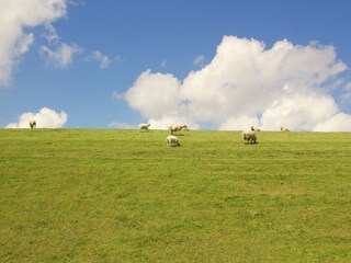 Villa Koehool Ambiente 33