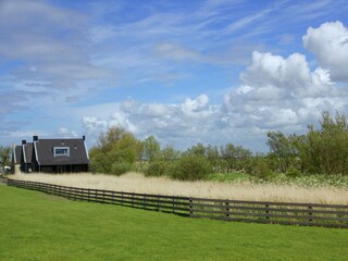 Villa Koehool Omgeving 32