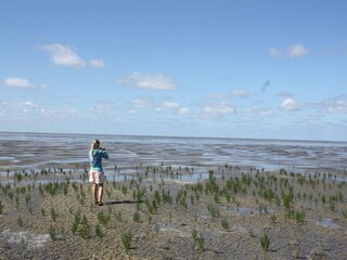 Villa Koehool Environnement 29