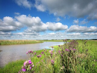 Villa Koehool Environnement 31