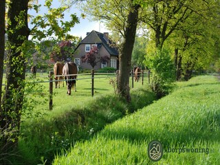 Ferienhaus Hamont-Achel Umgebung 32