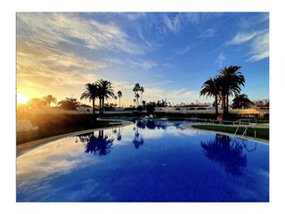 Bungalow Playa del Inglés Ambiente 14