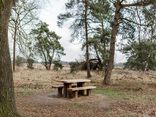 Appartement Heeze-Leende Environnement 36