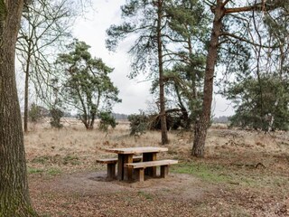 Ferienhaus Heeze-Leende Umgebung 29