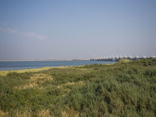 Vakantiehuis Kattendijke Omgeving 36