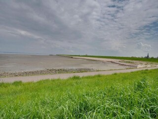 Vakantiehuis Kattendijke Omgeving 34