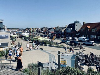 Ferienhaus Callantsoog Umgebung 29