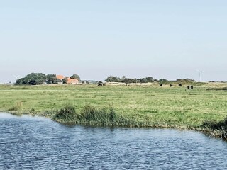 Ferienhaus Callantsoog Umgebung 26