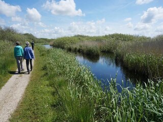 Ferienhaus Callantsoog Umgebung 32