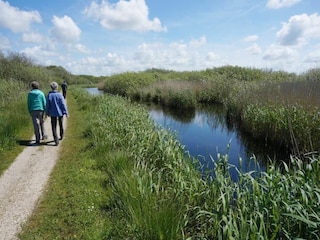 Vakantiehuis Callantsoog Omgeving 32