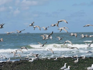 Holiday house Callantsoog Environment 31