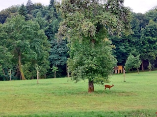 Ferienwohnung Schneider, Blick vom Balkon