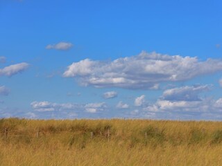 Apartment Katwijk aan Zee Außenaufnahme 1