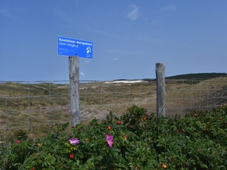 Ferienhaus Bergen aan Zee Umgebung 22