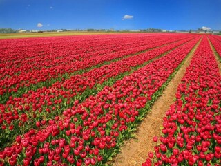 Vakantiehuis Bergen aan Zee Omgeving 20