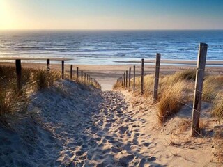 Holiday house Bergen aan Zee Environment 29