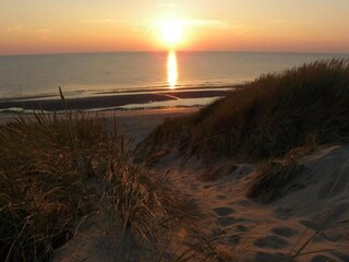 Holiday house Bergen aan Zee Environment 31