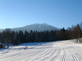 Loipen mit Arberblick