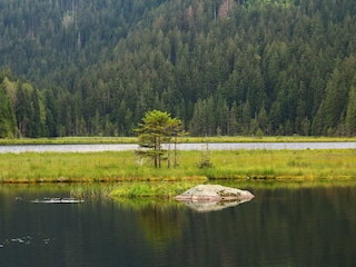 Kleiner Arbersee