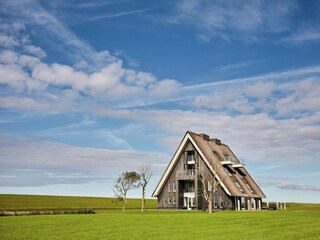 Villa Wierum Buitenaudio-opname 2