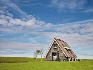 Villa Wierum Outdoor Recording 1