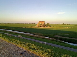 Villa Wierum Entorno 32