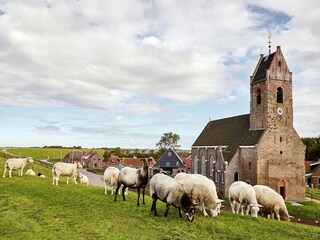 Villa Wierum Environnement 39