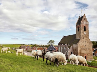 Villa Wierum Umgebung 39