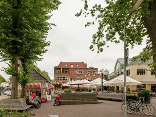 Apartment Bergen (Holland) Environment 34