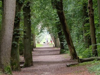 Appartamento Bergen (Holland) Ambiente 35