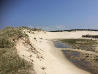 Apartment Bergen (Holland) Environment 24