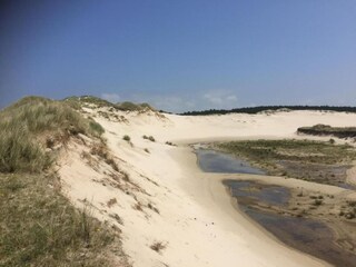 Appartamento Bergen (Holland) Ambiente 24