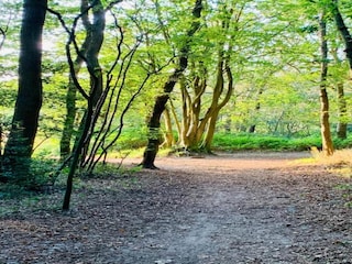 Apartment Bergen (Holland) Environment 29