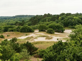 Apartment Bergen (Holland) Umgebung 33