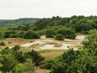 Apartment Bergen (Holland) Umgebung 38