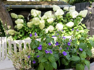 Appartamento Bergen (Holland)  37