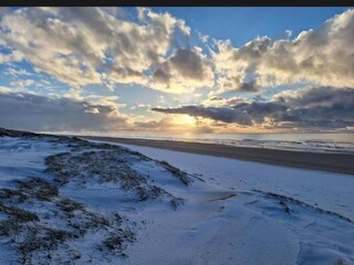 Apartamento Bergen (Holland) Entorno 22