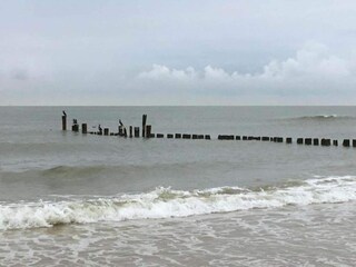 Apartamento Bergen (Holland) Entorno 32