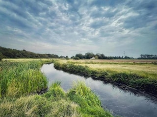 Appartement Bergen (Holland) Environnement 28