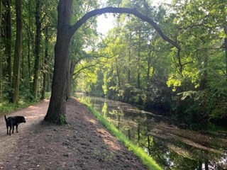 Appartamento Bergen (Holland) Ambiente 35