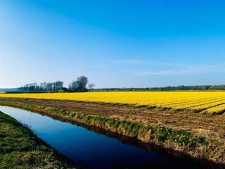 Appartamento Bergen (Holland) Ambiente 30