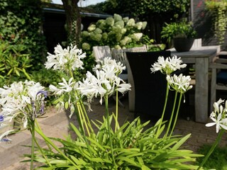 Apartamento Bergen (Holland)  39