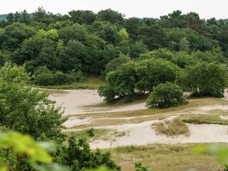 Apartment Bergen (Holland) Outdoor Recording 13